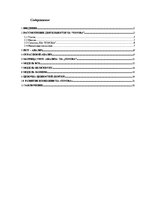 Biznesa plāns 'Предприятие "Sonora"', 1.