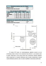 Biznesa plāns 'Предприятие "Sonora"', 13.