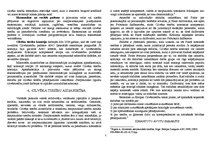 Konspekts 'Cilvēktiesību jēdziens', 5.