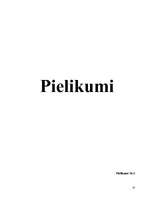 Referāts 'Vietējo iedzīvotāju attieksme pret tūrisma attīstību Aizkraukles pilsētā', 33.