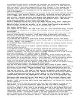 Eseja 'The Success of Nike', 2.