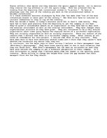 Eseja 'The Success of Nike', 3.