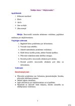 Prakses atskaite 'Aktīvā prakse bērnudārzā', 2.