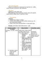 Prakses atskaite 'Aktīvā prakse bērnudārzā', 6.