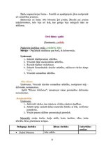 Prakses atskaite 'Aktīvā prakse bērnudārzā', 10.