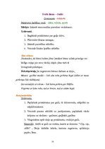 Prakses atskaite 'Aktīvā prakse bērnudārzā', 14.