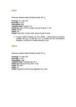 Konspekts 'ES valstu apraksts', 3.