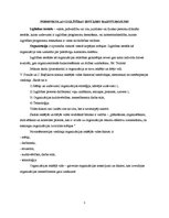 Eseja 'Pirmsskolas izglītības iestādes iekšējās vides raksturojums', 2.