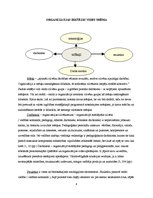 Eseja 'Pirmsskolas izglītības iestādes iekšējās vides raksturojums', 3.