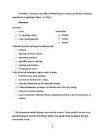 Eseja 'Pirmsskolas izglītības iestādes iekšējās vides raksturojums', 8.