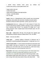 Prakses atskaite 'Kvalifikācijas prakses atskaite', 13.