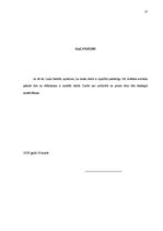 Referāts 'Īpašuma iegūšanas veidu vispārīgs raksturojums', 26.