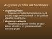 Prezentācija 'Augsnes profils un tā izmaiņas antropogēno faktoru ietekmē', 2.