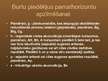 Prezentācija 'Augsnes profils un tā izmaiņas antropogēno faktoru ietekmē', 6.