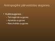 Prezentācija 'Augsnes profils un tā izmaiņas antropogēno faktoru ietekmē', 15.