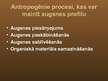 Prezentācija 'Augsnes profils un tā izmaiņas antropogēno faktoru ietekmē', 21.