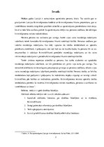 Referāts 'Drošības līdzekļi', 2.