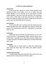 Referāts 'Printeru izvēles pamatojums atkarībā no to drukas kvalitātes un cenas', 15.