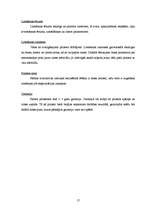 Referāts 'Printeru izvēles pamatojums atkarībā no to drukas kvalitātes un cenas', 17.