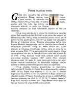 Referāts 'Doma baznīca, Pētera baznīca', 9.