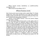 Referāts 'Doma baznīca, Pētera baznīca', 10.