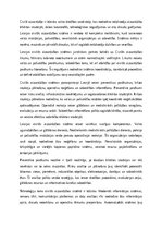 Eseja 'Civilās aizsardzības sistēma Latvijā – priekšrocības un trūkumi', 1.