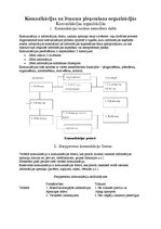 Referāts 'Komunikācijas un lēmumu pieņemšana organizācijās', 1.