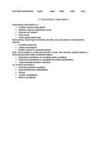 Referāts 'Komunikācijas un lēmumu pieņemšana organizācijās', 4.