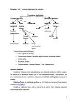 Prakses atskaite 'Kempings "ABC”', 3.