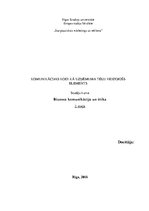 Eseja 'Komunikācijas kodi kā uzņēmuma tēlu veidojošs elements', 1.