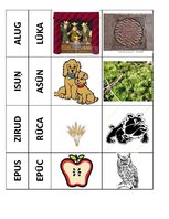 Konspekts 'Vārdi paronīmi', 2.