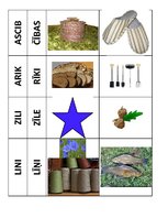 Konspekts 'Vārdi paronīmi', 11.