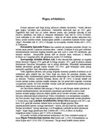 Referāts 'Art Deco arhitektūra Latvijā', 9.