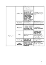 Referāts 'Jauna produkta - pakalpojuma ieviešana tirgū. Uzņēmums "Radošā darbnīca"', 13.