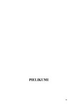 Referāts 'Jauna produkta - pakalpojuma ieviešana tirgū. Uzņēmums "Radošā darbnīca"', 30.