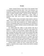 Referāts 'Anoreksijas kaitīgā ietekme uz meitenes veselību', 3.