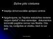Prezentācija 'Penitenciārās iestādes. Ieslodzīto tiesības', 23.