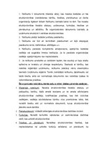 Paraugs 'Organizatoriskie dokumenti un to noformēšana', 3.