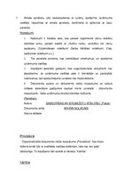 Paraugs 'Organizatoriskie dokumenti un to noformēšana', 7.