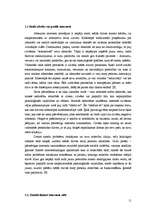 Referāts 'Nepiedienīgi piedāvājumi jauniešiem interneta portālos', 5.