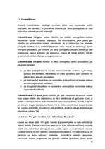 Referāts 'Nepiedienīgi piedāvājumi jauniešiem interneta portālos', 8.