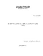 Referāts 'Trešā Reiha karaspēka sagaidīšana Baltijas valstīs', 1.