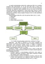 Referāts 'Uzņēmuma LSEZ a/s "Liepājas Osta LM" konkurētspējas paaugstināšanas projekts', 15.