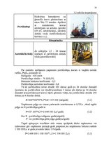 Referāts 'Uzņēmuma LSEZ a/s "Liepājas Osta LM" konkurētspējas paaugstināšanas projekts', 20.