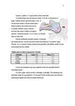 Referāts 'Cilvēka saimnieciskās darbības ietekme uz piejūras dabu', 4.