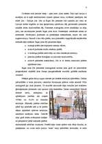 Referāts 'Cilvēka saimnieciskās darbības ietekme uz piejūras dabu', 6.