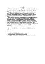 Referāts 'Stratēģiskās plānošanas process uzņēmumā', 3.