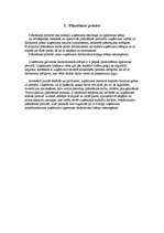 Referāts 'Stratēģiskās plānošanas process uzņēmumā', 4.