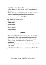 Referāts 'Stratēģiskās plānošanas process uzņēmumā', 6.