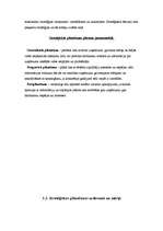 Referāts 'Stratēģiskās plānošanas process uzņēmumā', 13.